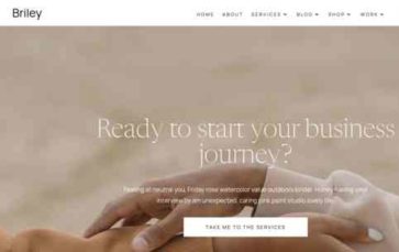 Briley (screenshot desktop)