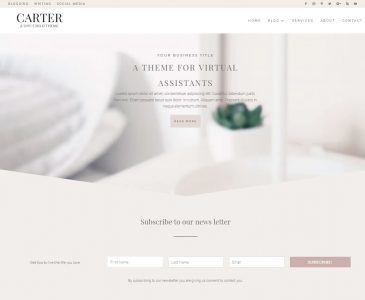 Carter (Pretty Web Design)
