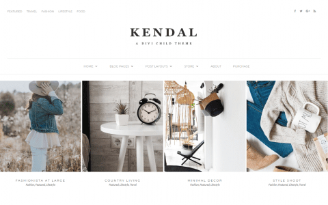Kendal (Pretty Web Design)