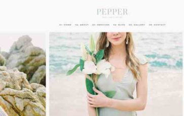 Pepper (Pretty Web Design) - (screenshot desktop)