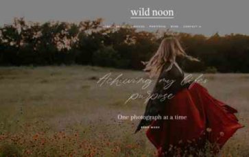 Wild Noon (screenshot desktop)