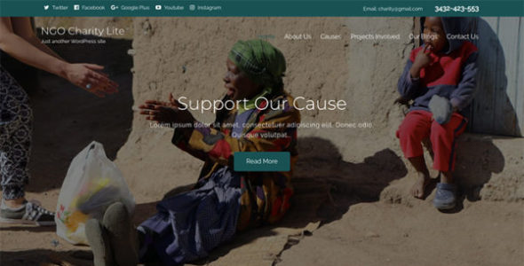 NGO Charity Lite (Pride Themes)