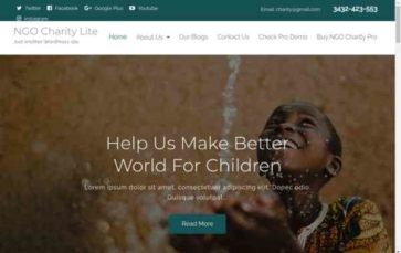 NGO Charity Lite (screenshot desktop)