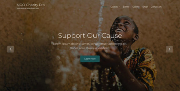 NGO Charity Pro (Pride Themes)