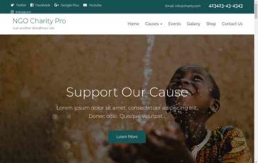 NGO Charity Pro (screenshot desktop)