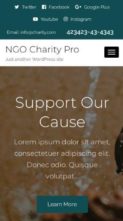 NGO Charity Pro (screenshot mobile)