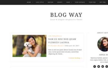 Blog Way (screenshot desktop)
