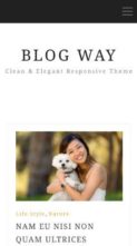 Blog Way (screenshot mobile)