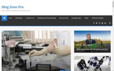 Blog Zone Pro (screenshot desktop)
