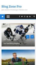 Blog Zone Pro (screenshot mobile)