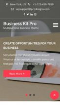 Business Kit Pro (screenshot mobile)