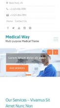 Medical Way (screenshot mobile)