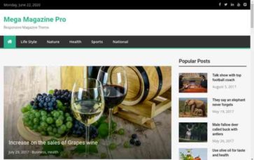 Mega Magazine Pro (screenshot desktop)