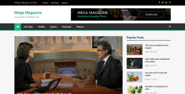 Mega Magazine (ProDesigns)