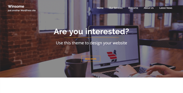 Winsome Pro (ProDesigns)