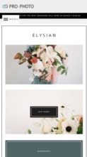 Elysian (Northfolk) - (screenshot mobile)