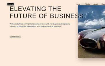 Woltis Pro (screenshot desktop)