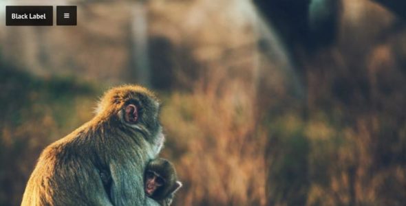 Black Label (Quema Labs)