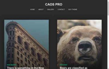 Caos Pro (screenshot desktop)