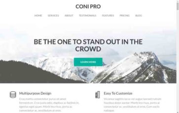 Coni Pro (screenshot desktop)