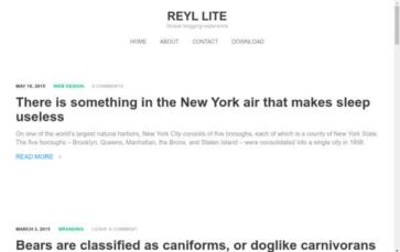 Reyl Lite (screenshot desktop)