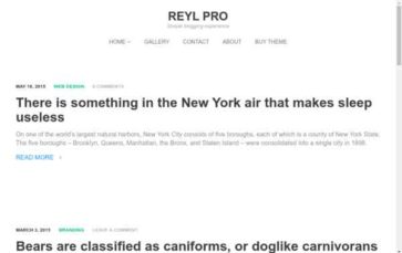 Reyl Pro (screenshot desktop)