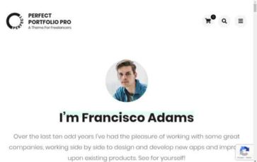 Perfect Portfolio Pro (screenshot desktop)