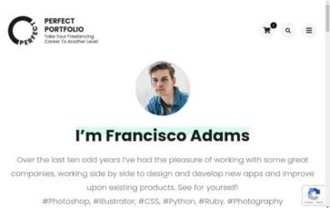 Perfect Portfolio (screenshot desktop)