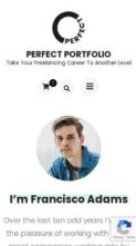 Perfect Portfolio (screenshot mobile)