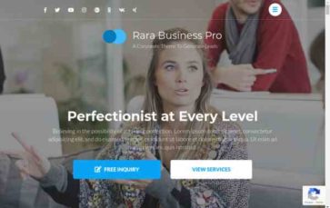 Rara Business Pro (screenshot desktop)