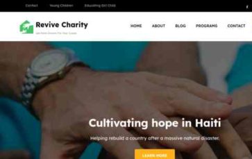Revive Charity (screenshot desktop)