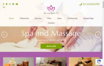 Spa and Salon Pro (screenshot desktop)