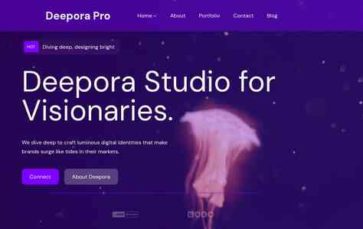 DeeporaPro (screenshot desktop)