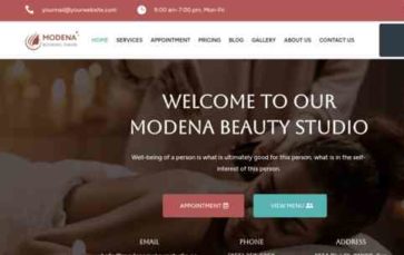 Modena (RiseThemes) (screenshot desktop)