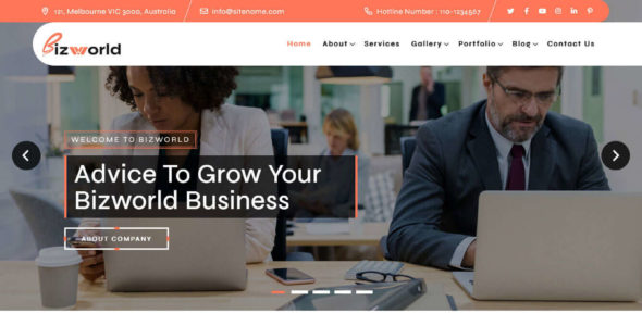 Bizworld Pro (Rising Themes)