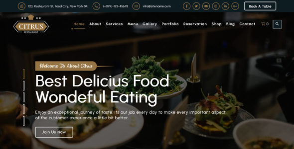 Citrus Pro (Rising Themes)