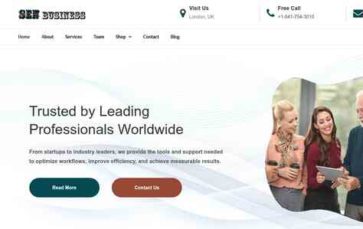 Sen Business (screenshot desktop)