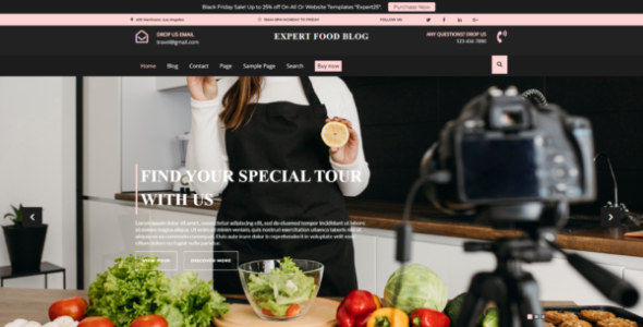 Expert Food Blogger Pro (SEO Themes Expert)