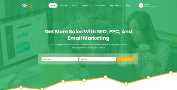 SEO Expert Pro (SEO Themes Expert)