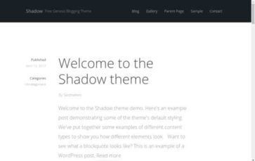 Shadow (SEO Themes) (screenshot desktop)