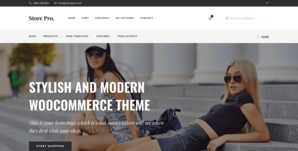 Store Pro  (SEO Themes)