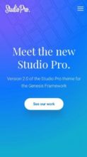 Studio Pro (SEO Themes) (screenshot mobile)
