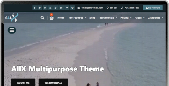 AllX Premium (SEOS Themes)