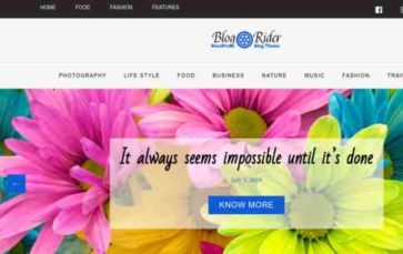 Blog Rider Pro (screenshot desktop)