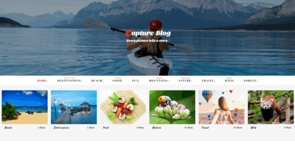 Capture Blog (Shadow Themes)