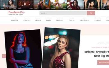 Dreshion Pro (screenshot desktop)