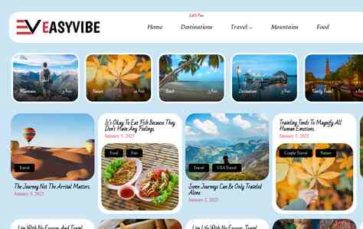 Easyvibe (screenshot desktop)