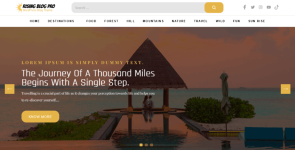 Rising Blog Pro (Shadow Themes)