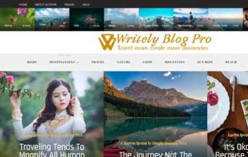 Writely Blog Pro (screenshot desktop)