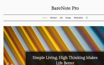 BareNote Pro (screenshot desktop)